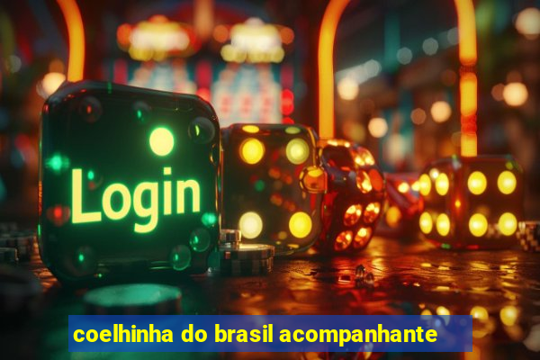 coelhinha do brasil acompanhante